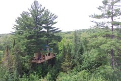 238546305_4341079459271486_3986483220754642293_n