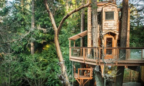 treehouse mont tremblant