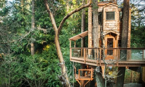 treehouse mont tremblant